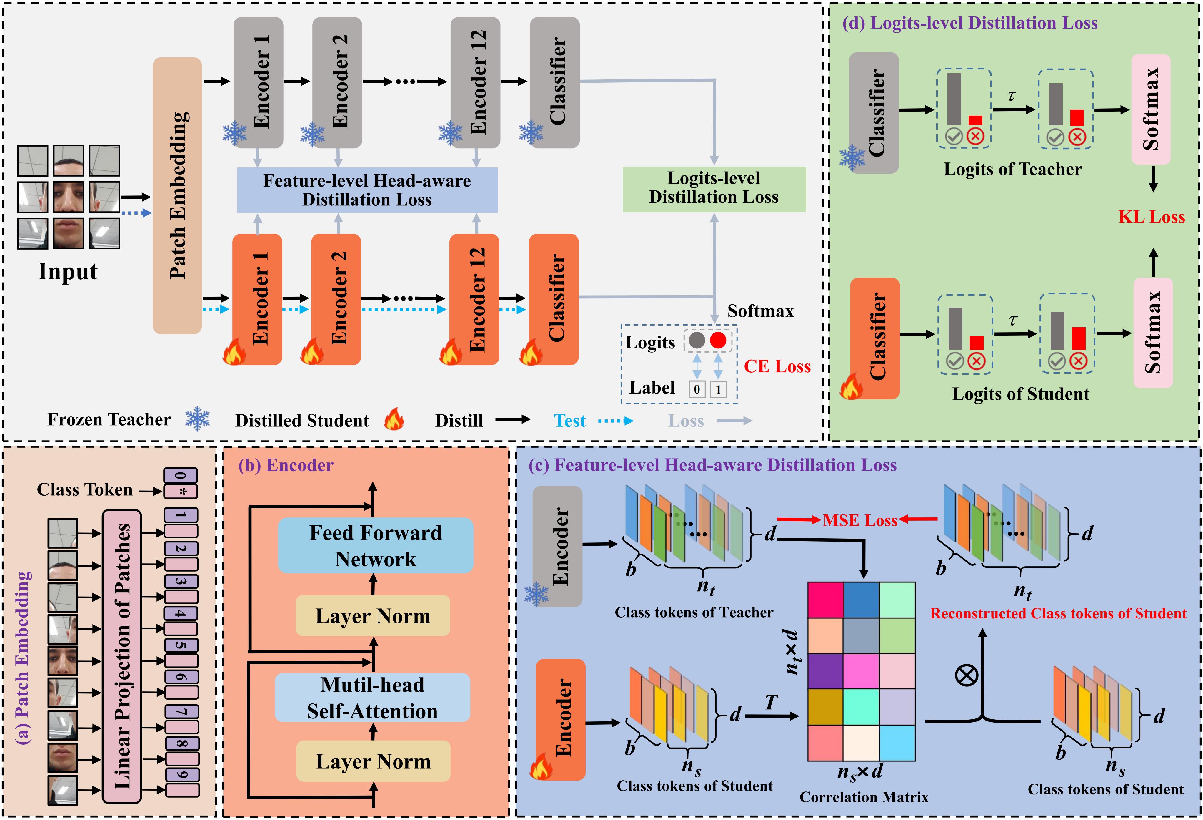 Efficient face anti-spoofing via head-aware transformer based knowledge distillation with 5 MB model parameters