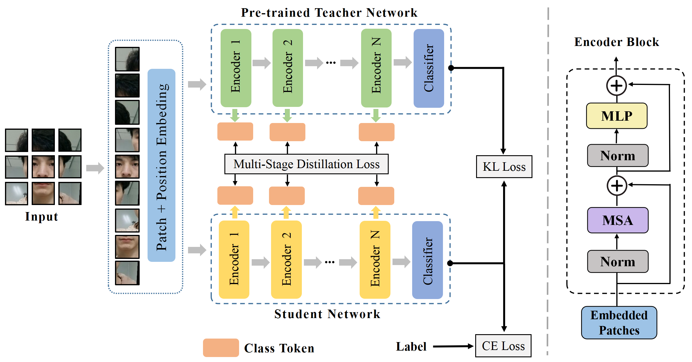 KDFAS: multi-stage knowledge distillation vision transformer for face anti-spoofing